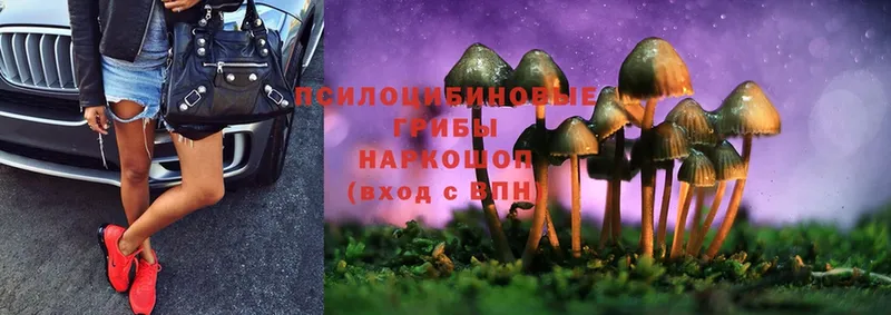 Псилоцибиновые грибы Cubensis  купить наркотики цена  Энгельс 